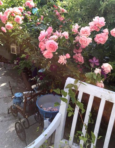 Rosen und Shabby-Chic-Deko im Garten des Ferienhauses